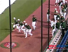 Rain Delay in Baseball